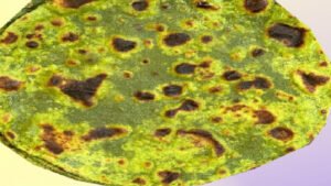 Palak Paratha
